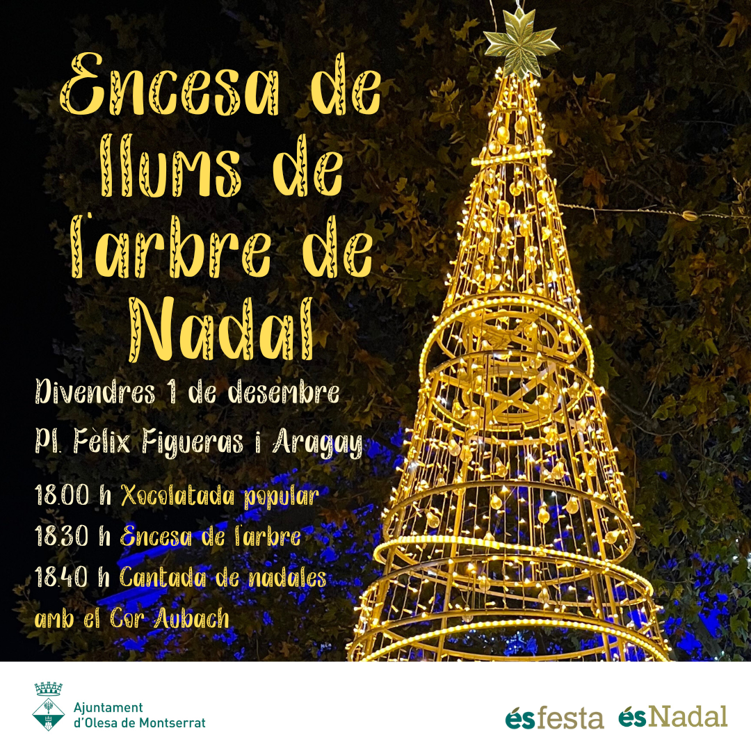 Cartell acte encesa arbre Nadal 2023